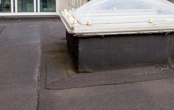 disadvantages of Freuchies flat roofs