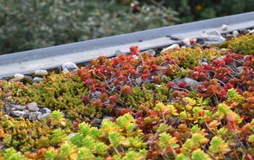 the cost of Freuchies green roof installation