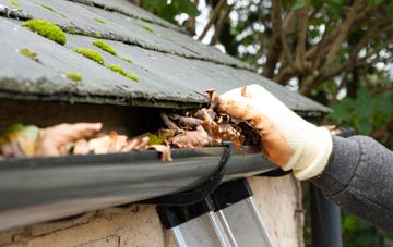gutter cleaning Freuchies, Angus