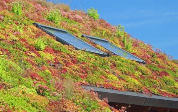 Freuchies living roof systems